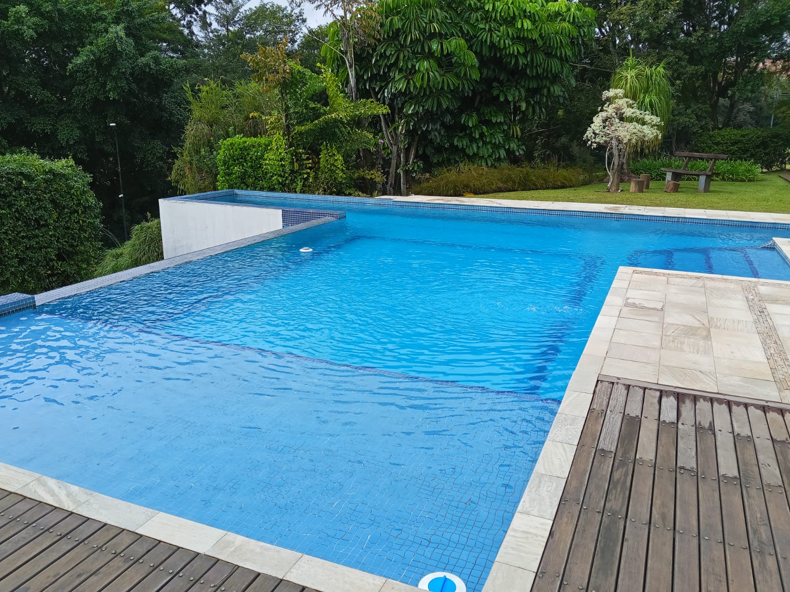 Piscina com deck de madeira e área verde